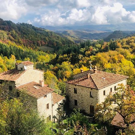 Bio Agriturismo Il Vigno Caprese Michelangelo Eksteriør bilde