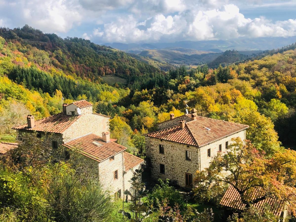 Bio Agriturismo Il Vigno Caprese Michelangelo Eksteriør bilde