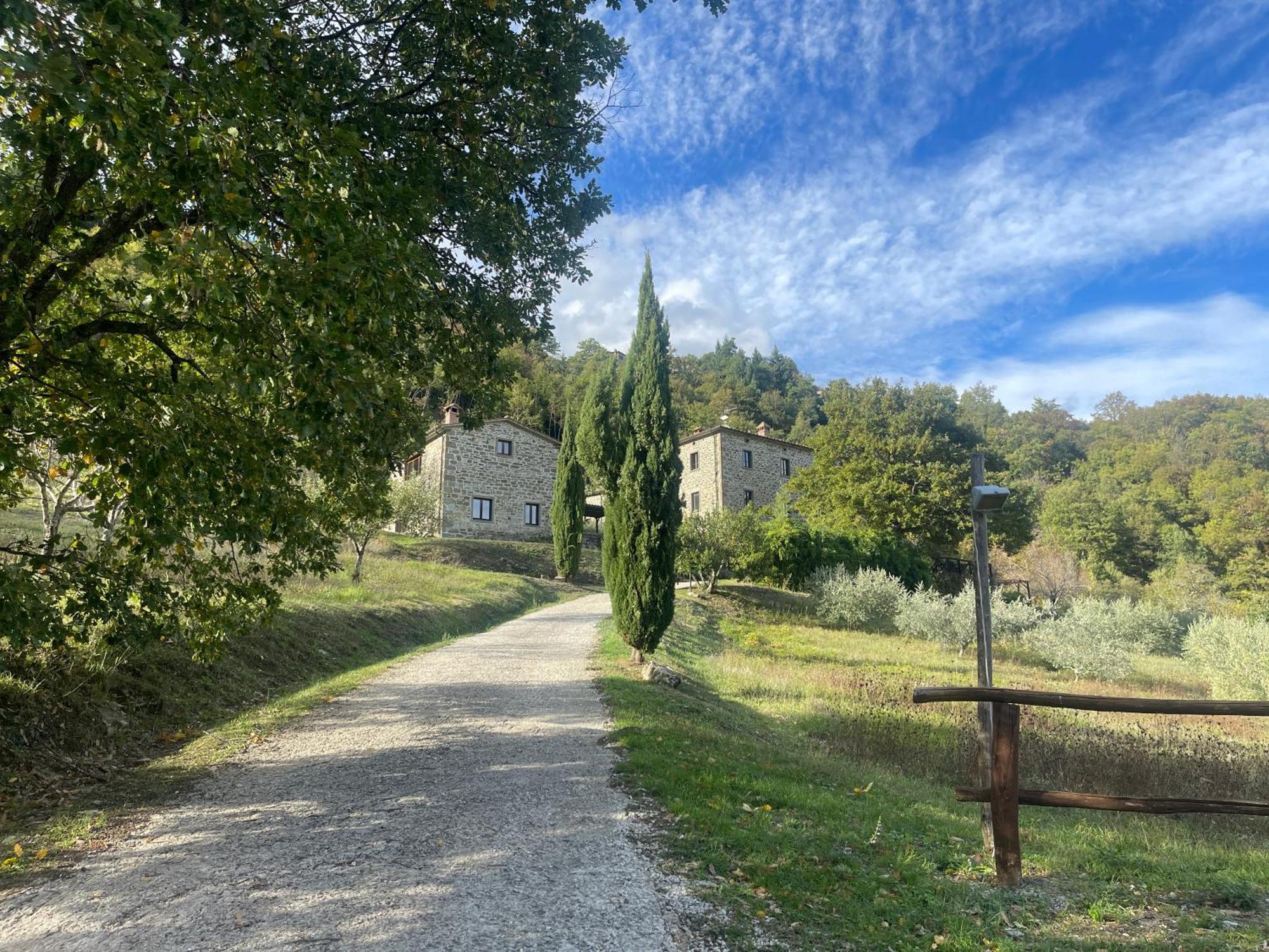 Bio Agriturismo Il Vigno Caprese Michelangelo Eksteriør bilde
