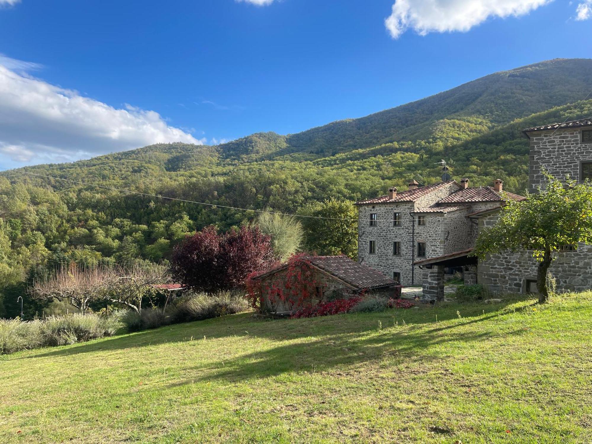 Bio Agriturismo Il Vigno Caprese Michelangelo Eksteriør bilde