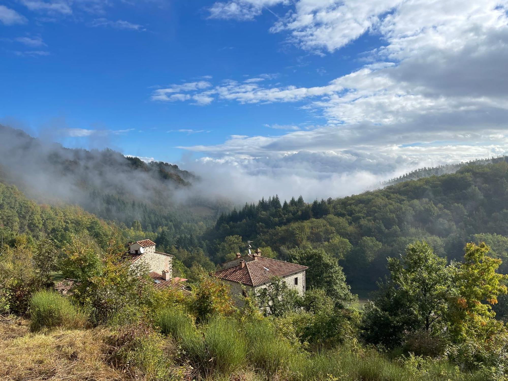 Bio Agriturismo Il Vigno Caprese Michelangelo Eksteriør bilde