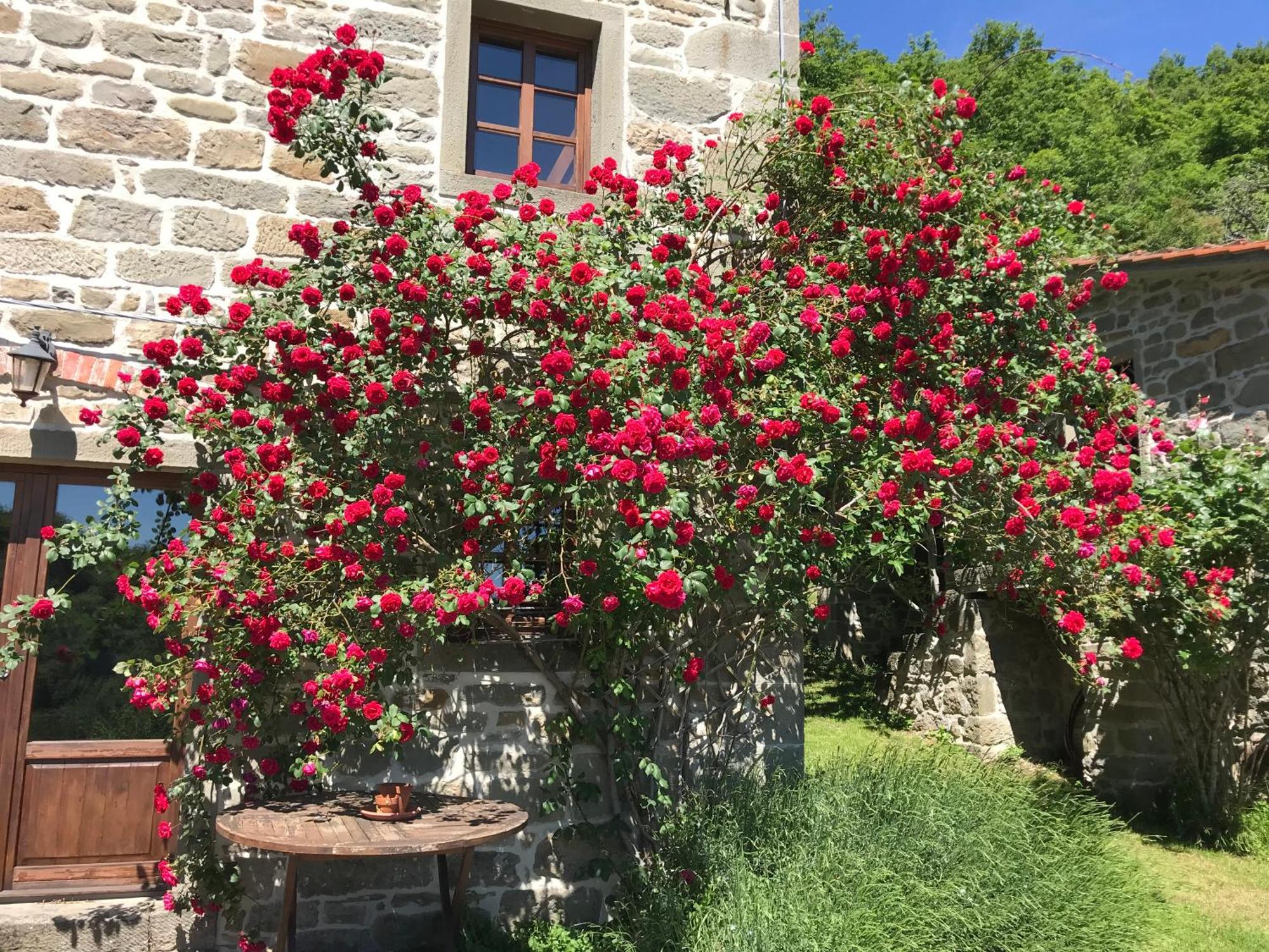 Bio Agriturismo Il Vigno Caprese Michelangelo Eksteriør bilde