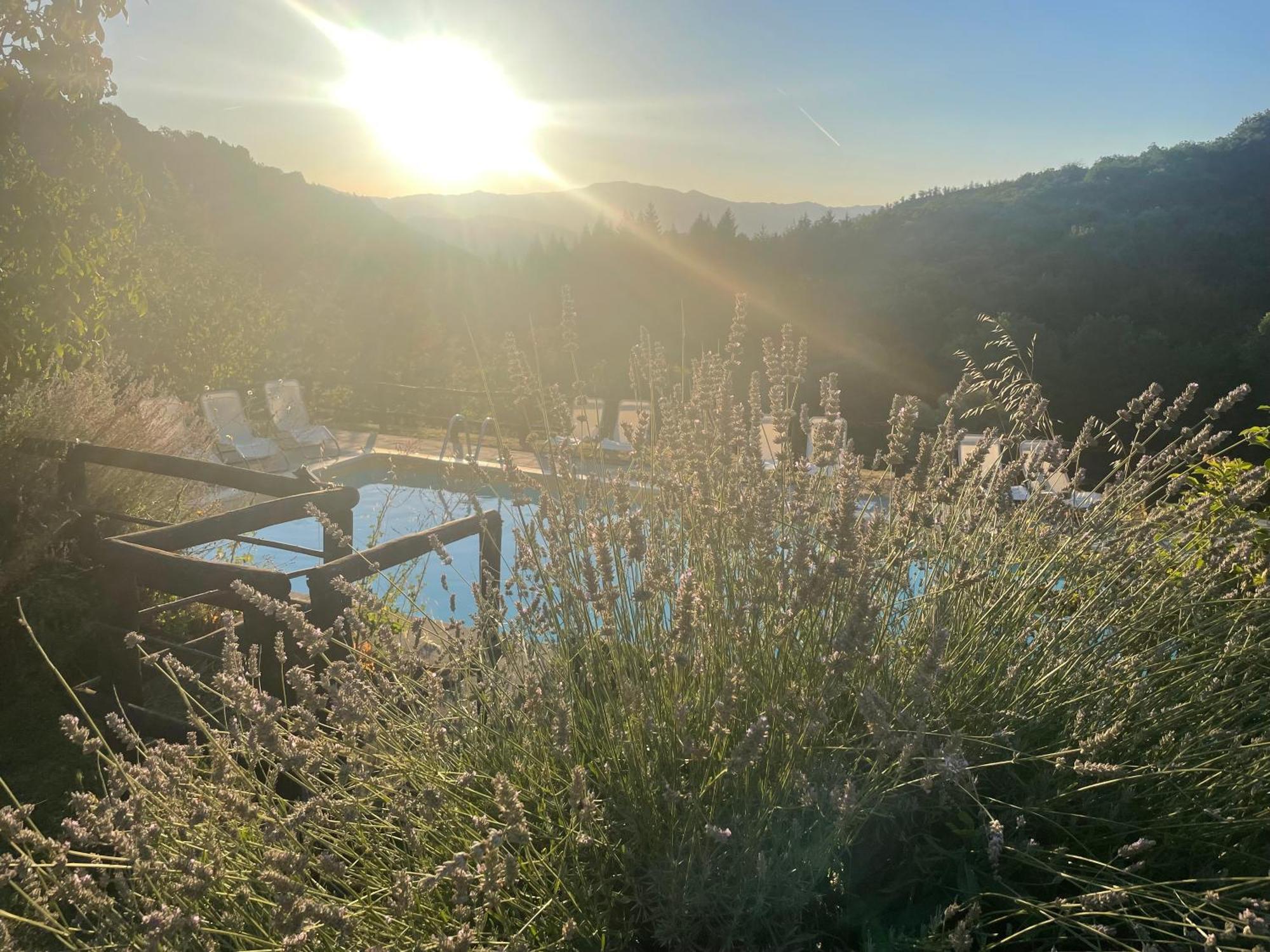 Bio Agriturismo Il Vigno Caprese Michelangelo Eksteriør bilde