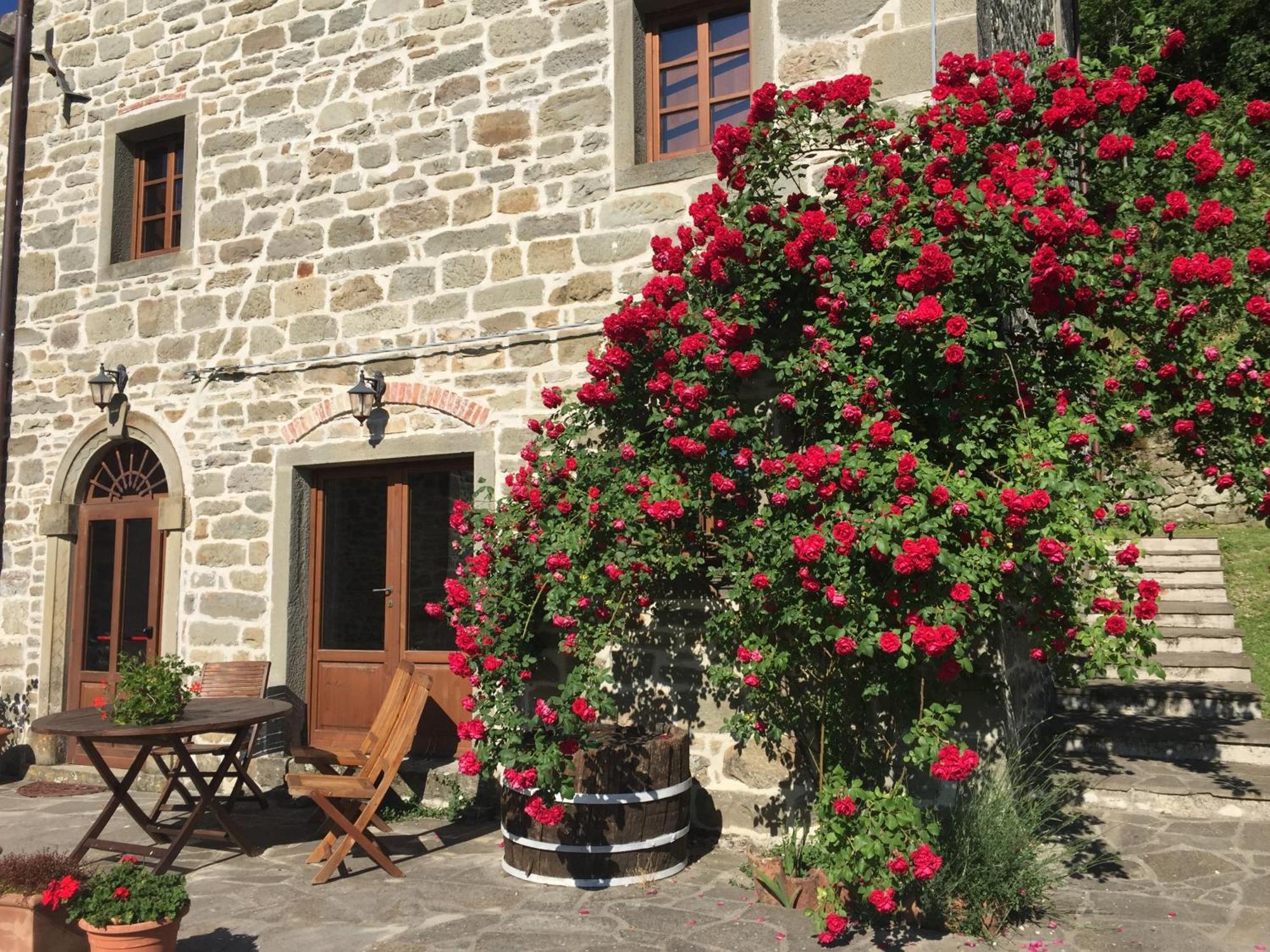 Bio Agriturismo Il Vigno Caprese Michelangelo Eksteriør bilde