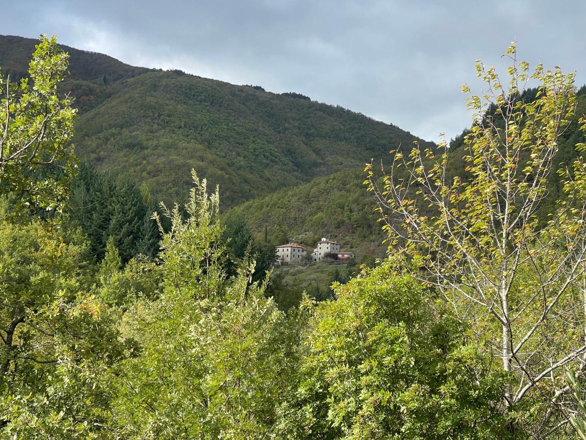 Bio Agriturismo Il Vigno Caprese Michelangelo Eksteriør bilde