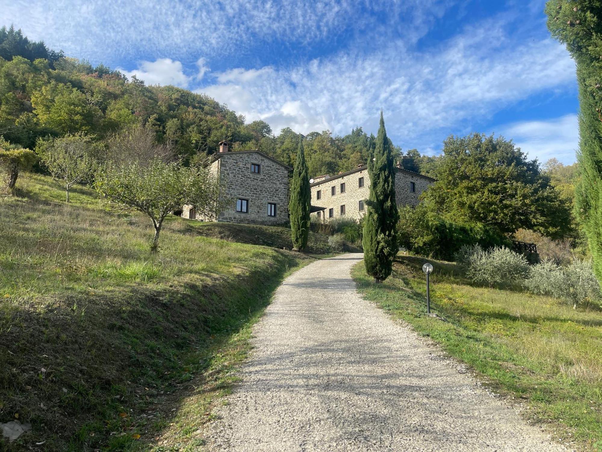 Bio Agriturismo Il Vigno Caprese Michelangelo Eksteriør bilde