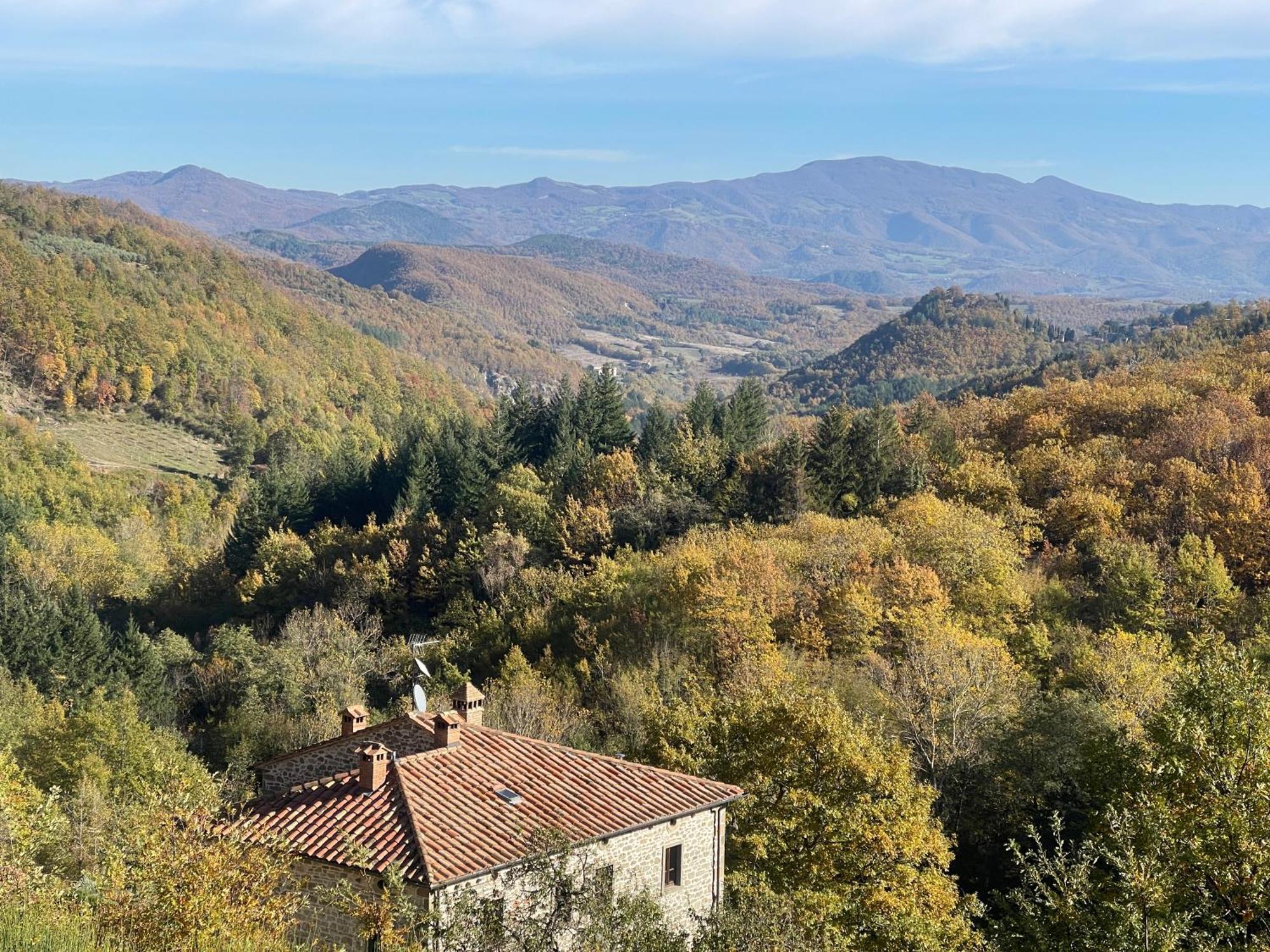 Bio Agriturismo Il Vigno Caprese Michelangelo Eksteriør bilde